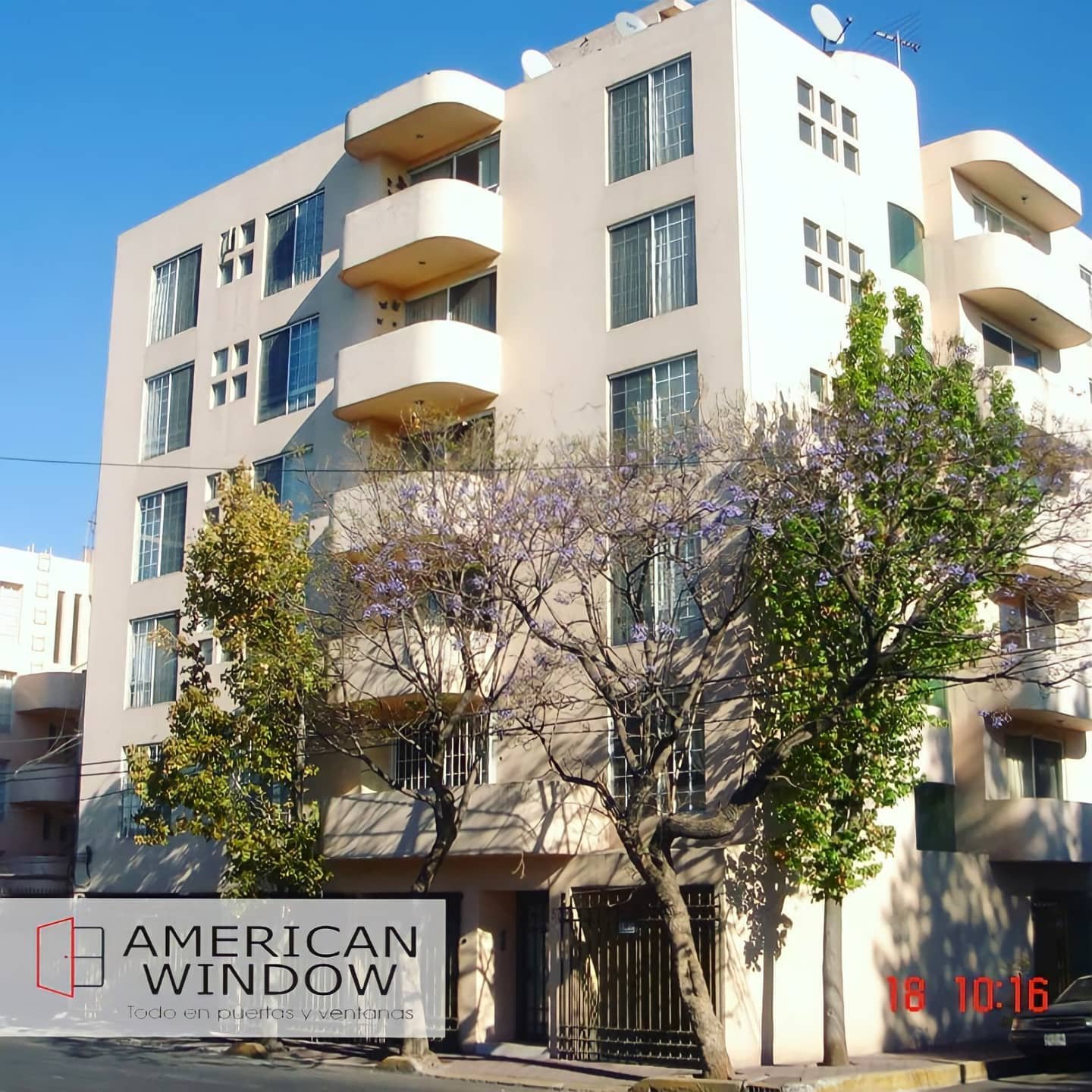 WhatsApp Image 2025-03-20 at 3.06.58 PM